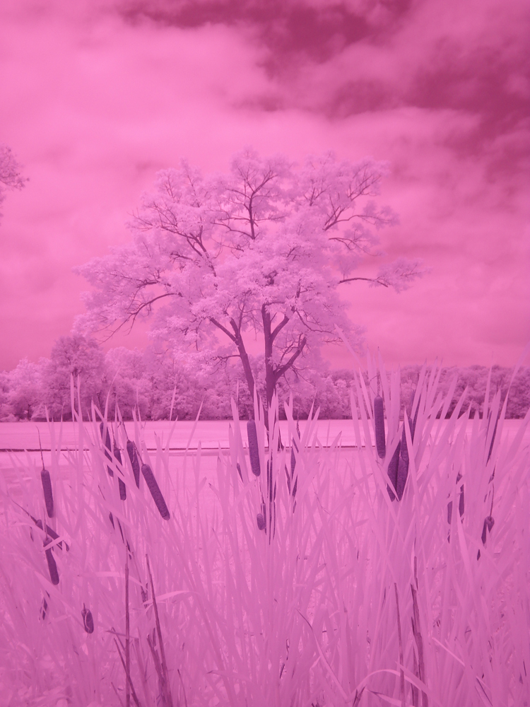 download false color infrared action photoshop
